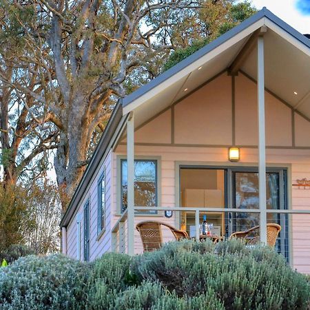 Grace Cottages Uralla Exteriör bild