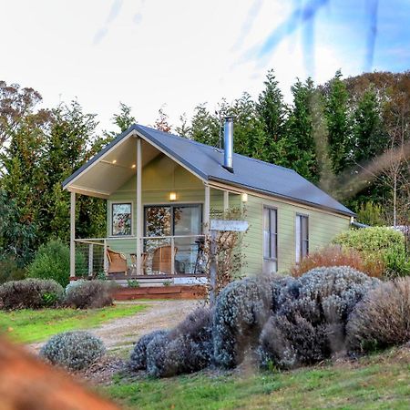 Grace Cottages Uralla Exteriör bild