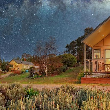 Grace Cottages Uralla Exteriör bild