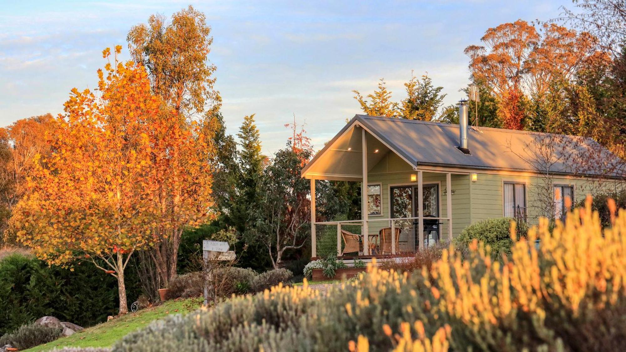 Grace Cottages Uralla Exteriör bild