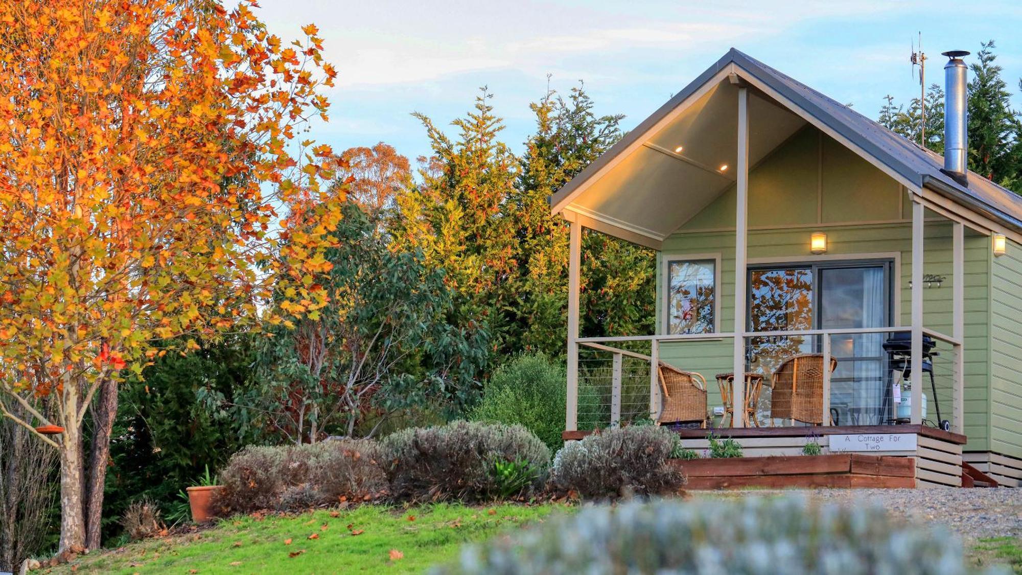 Grace Cottages Uralla Exteriör bild